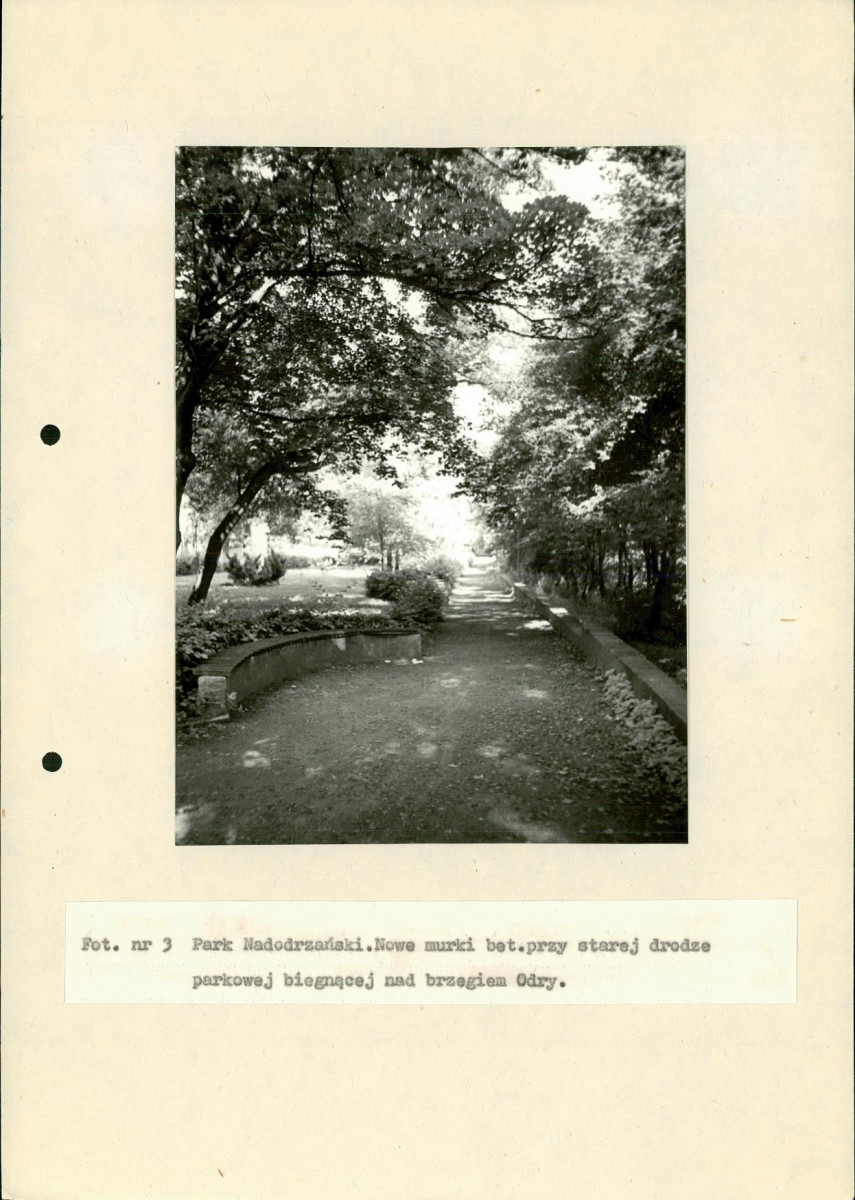 EP - Ewidencja parkowa, skan nr 81