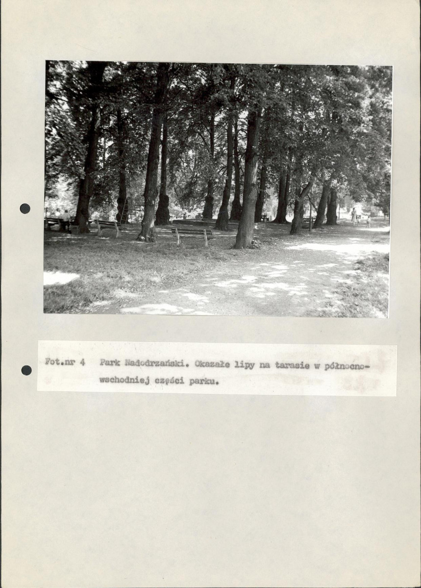 EP - Ewidencja parkowa, skan nr 82