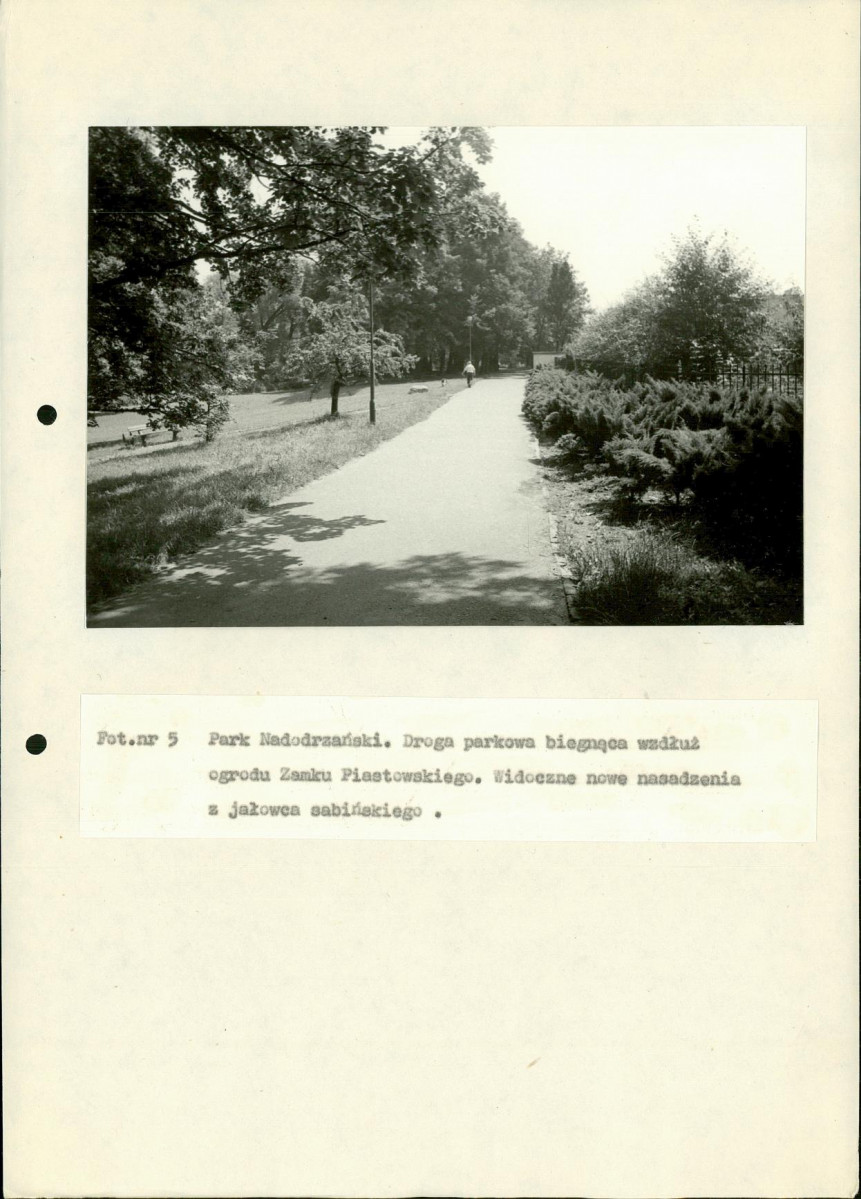 EP - Ewidencja parkowa, skan nr 83