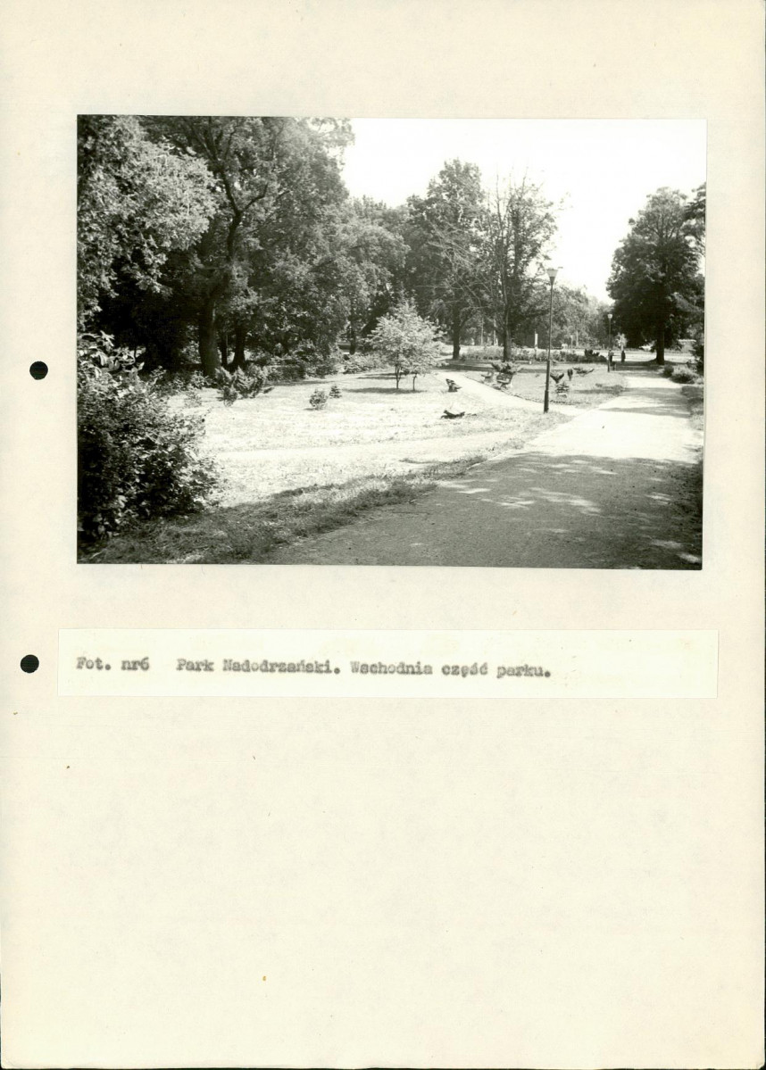 EP - Ewidencja parkowa, skan nr 84