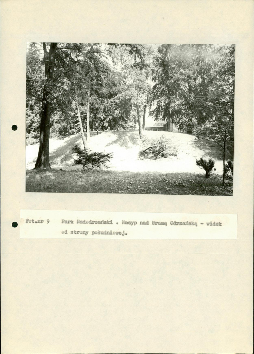 EP - Ewidencja parkowa, skan nr 87