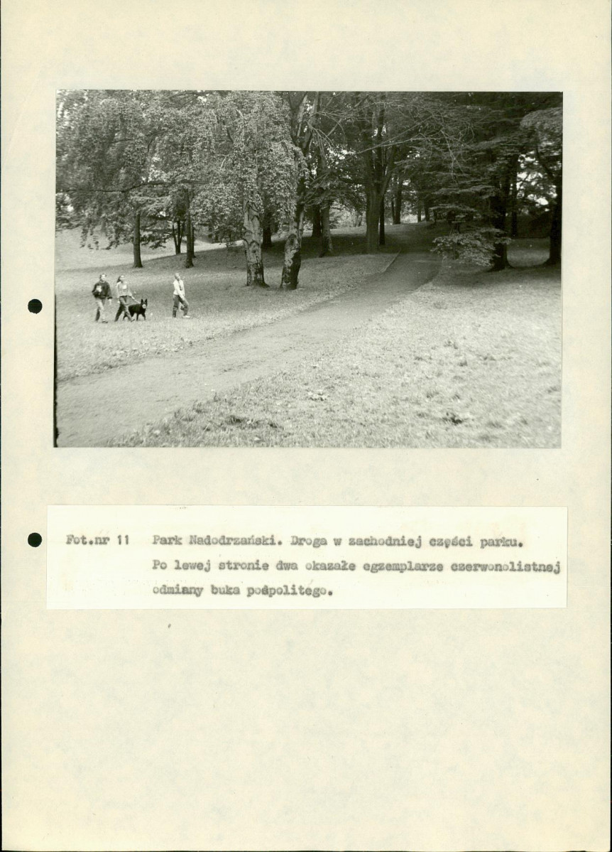 EP - Ewidencja parkowa, skan nr 89