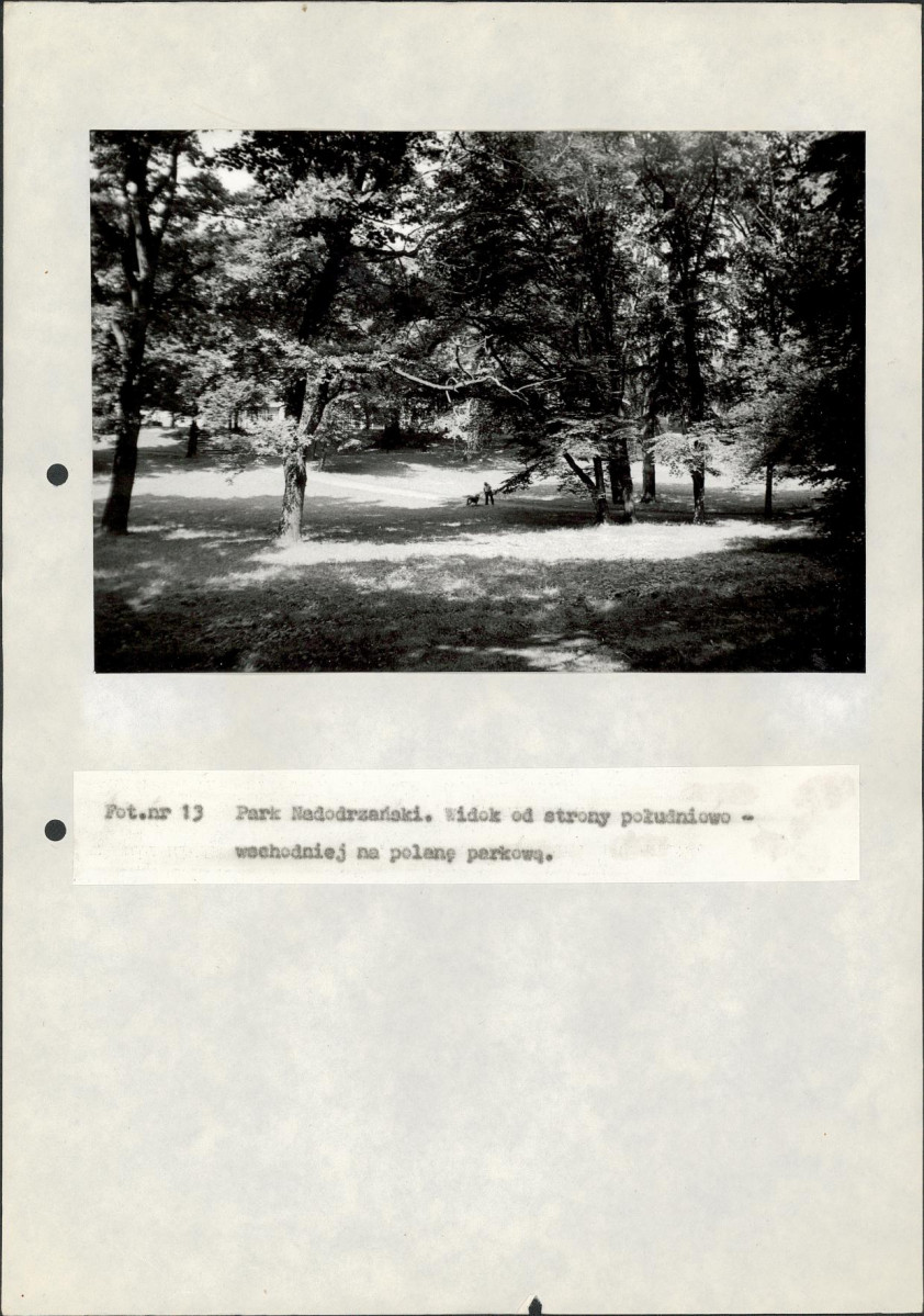 EP - Ewidencja parkowa, skan nr 91