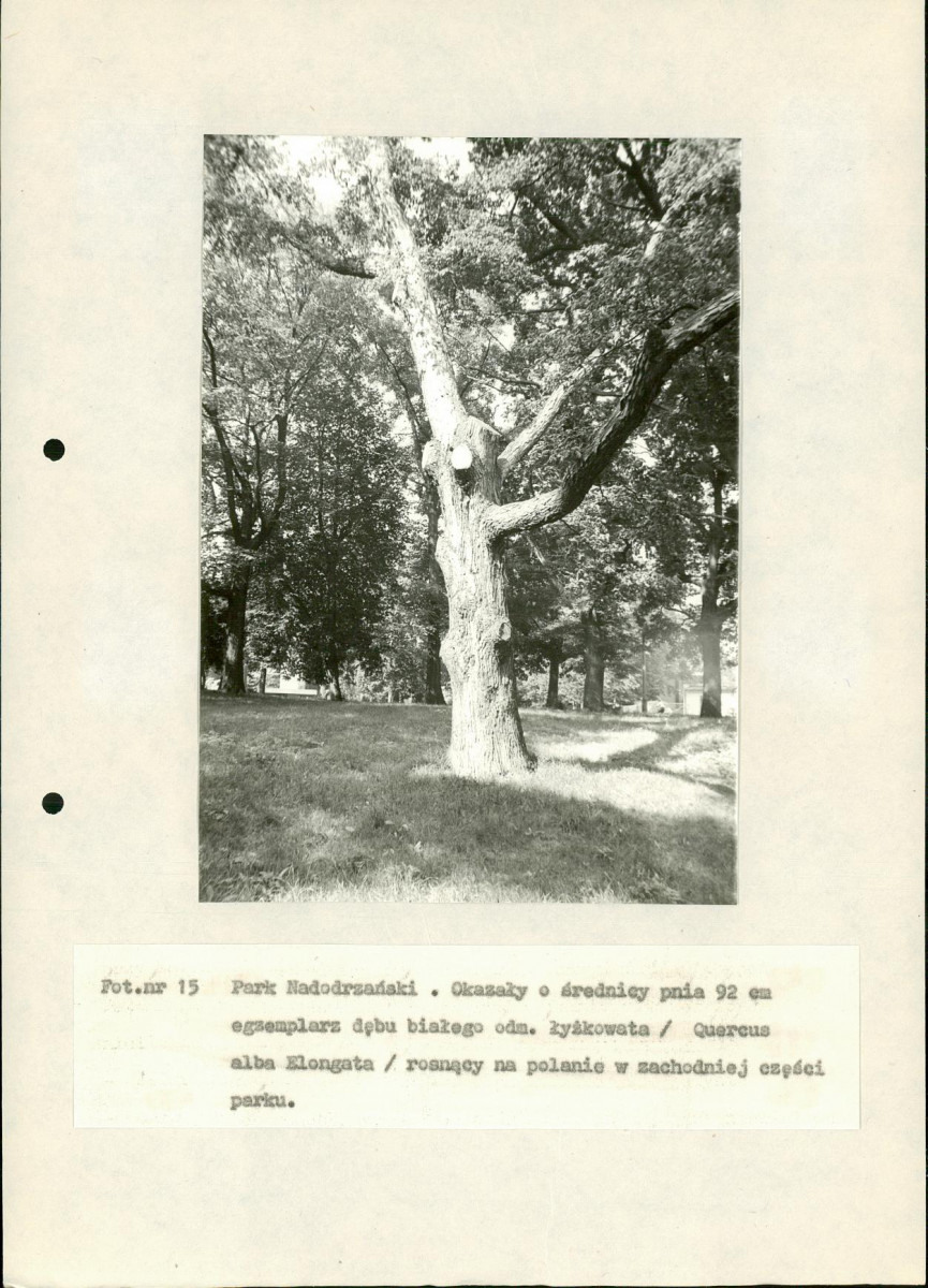 EP - Ewidencja parkowa, skan nr 93