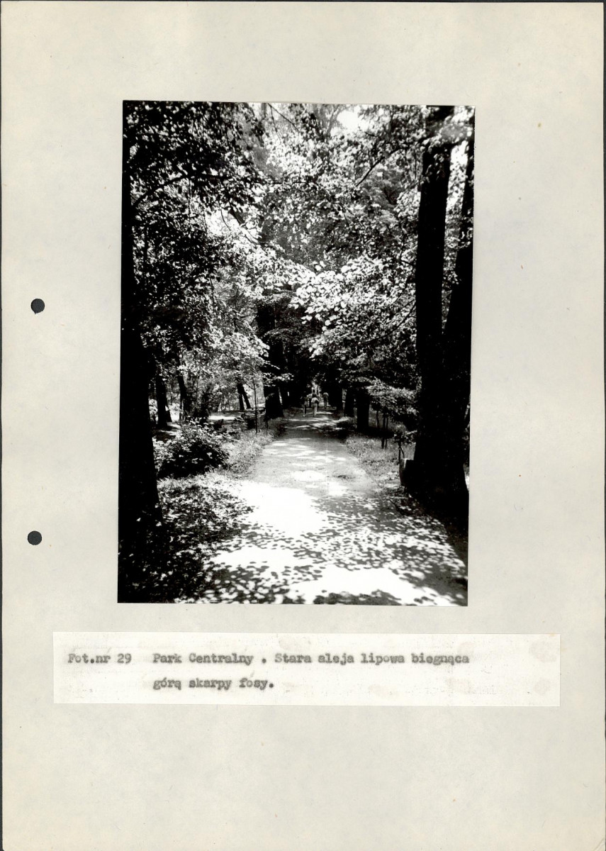 EP - Ewidencja parkowa, skan nr 107