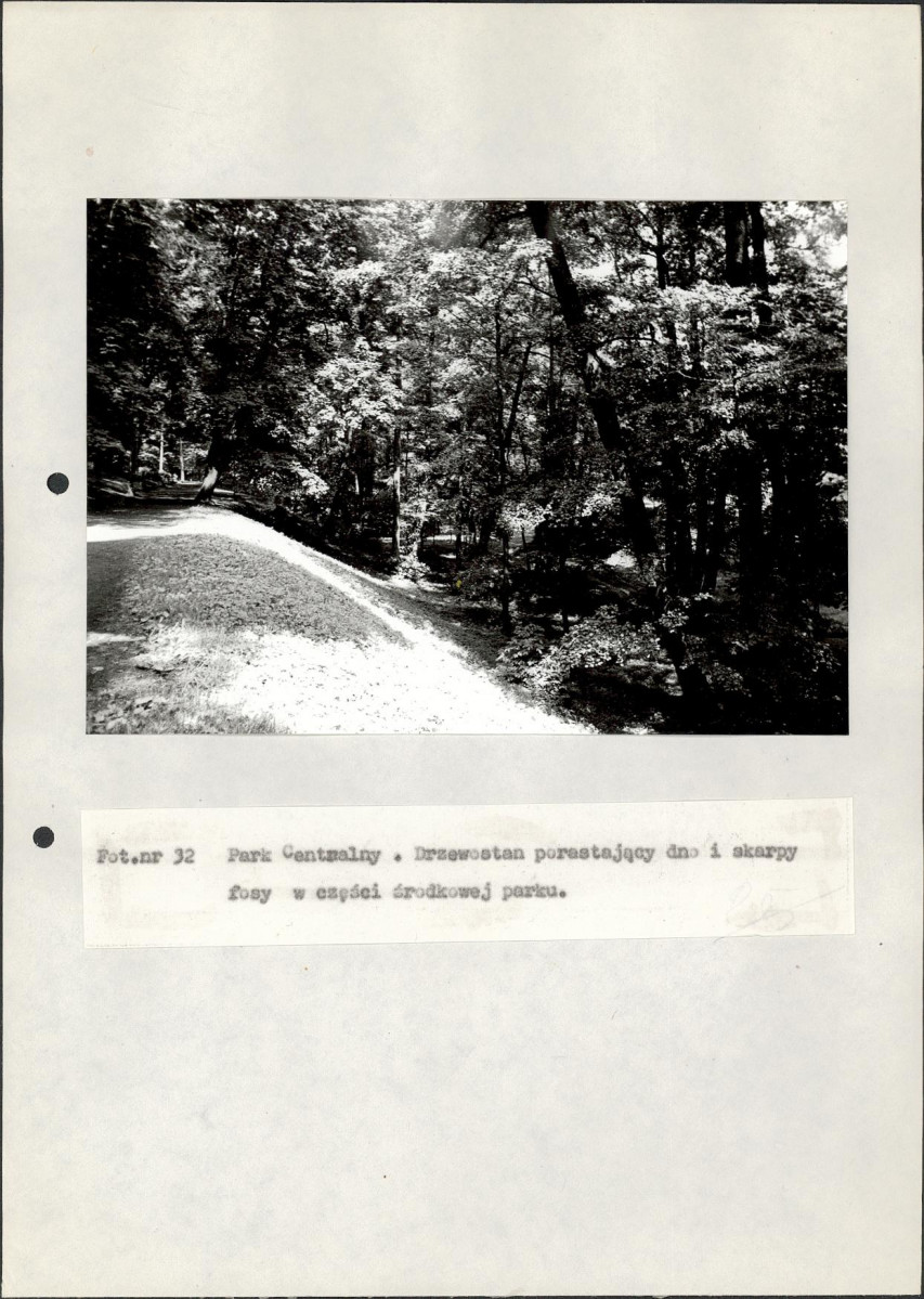 EP - Ewidencja parkowa, skan nr 110