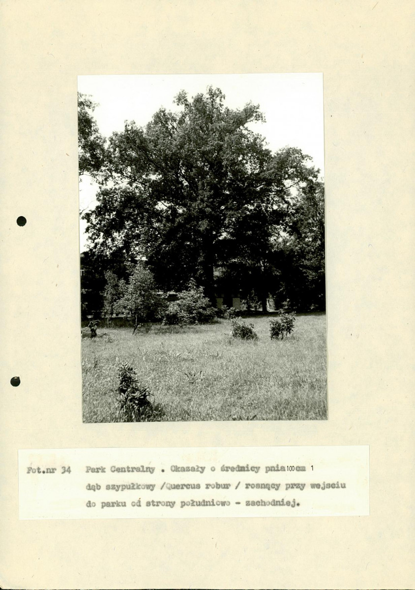 EP - Ewidencja parkowa, skan nr 112