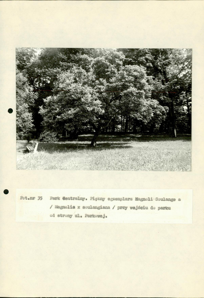 EP - Ewidencja parkowa, skan nr 113