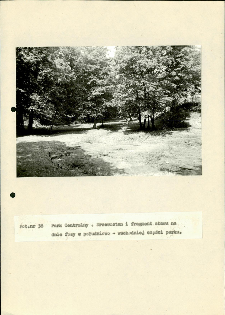 EP - Ewidencja parkowa, skan nr 116