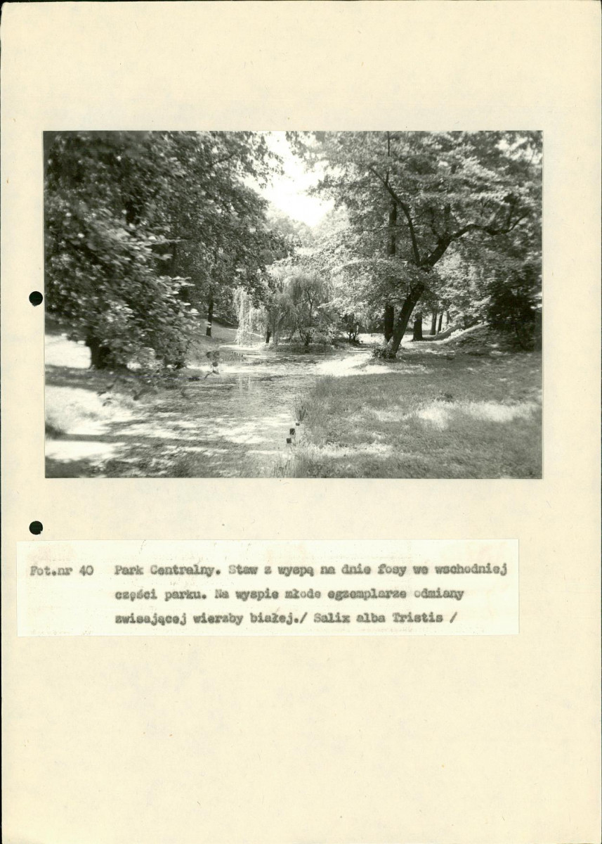 EP - Ewidencja parkowa, skan nr 118