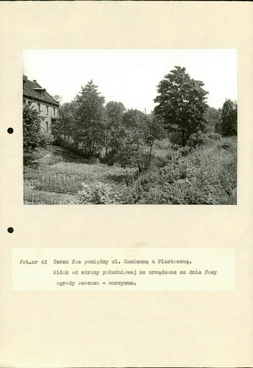 EP - Ewidencja parkowa, skan nr 120