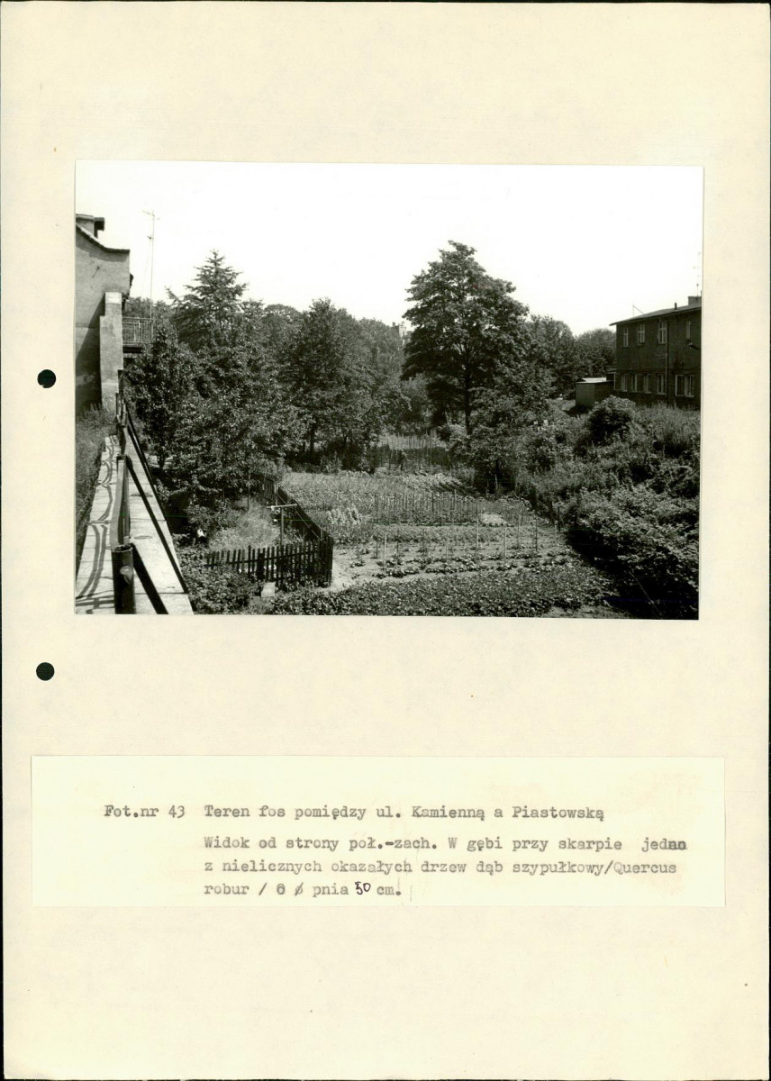 EP - Ewidencja parkowa, skan nr 121